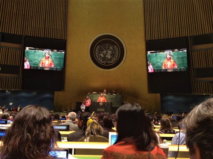 Inside the UN Permanent Forum on Indigenous Issues