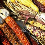 New position paper on synthetic biology tackles the tough questions