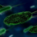 synthetic biology podcast