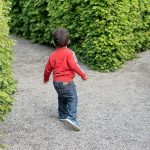 save Ontario's child and youth advocate