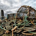 Mi'kmaw fishing rights - Coalition for the Human Rights of Indigenous Peoples