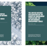 The covers of two new resources from the Coalition for the Human Rights of Indigenous Peoples. The resources cover Indigenous rights and the UN's Sustainable Development Goals