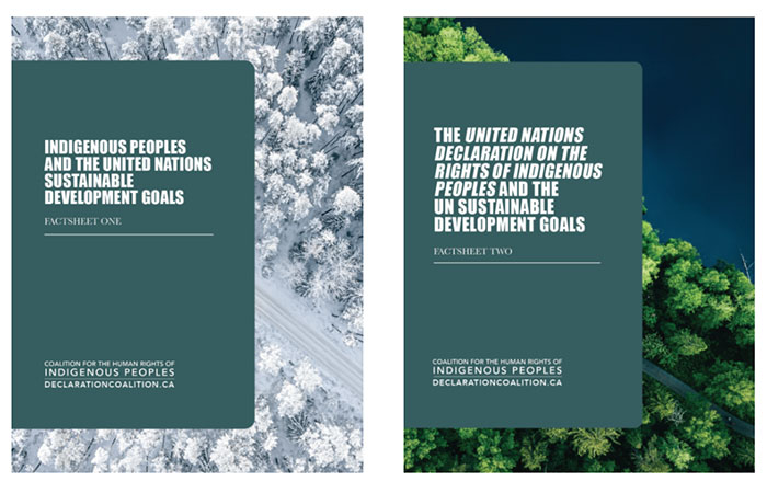 The covers of two new resources from the Coalition for the Human Rights of Indigenous Peoples. The resources cover Indigenous rights and the UN's Sustainable Development Goals