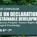 UN Declaration & Sustainable Development Symposium