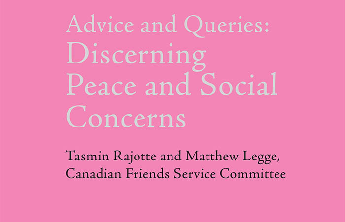 Discerning peace and social concerns