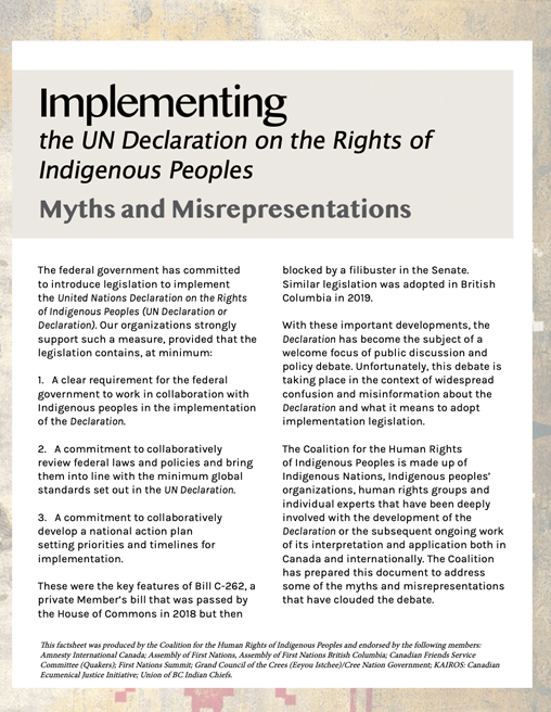 Implementing the UN Declaration on the Rights of Indigenous Peoples.