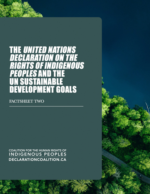 UN Declaration on the Rights of Indigenous Peoples and the UN Sustainable Development Goals
