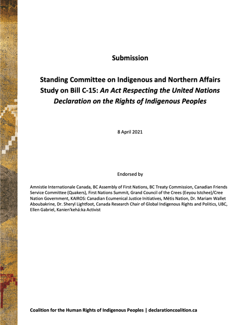 Join submission by the Coalition for the Human Rights of Indigenous Peoples 2021