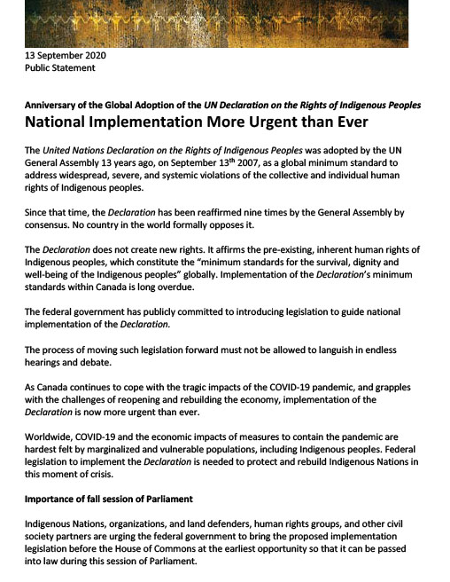 Image of a joint statement made on the anniversary of the adoption of the UN Declaration on the Rights of Indigenous Peoples stressing the urgency of implementation
