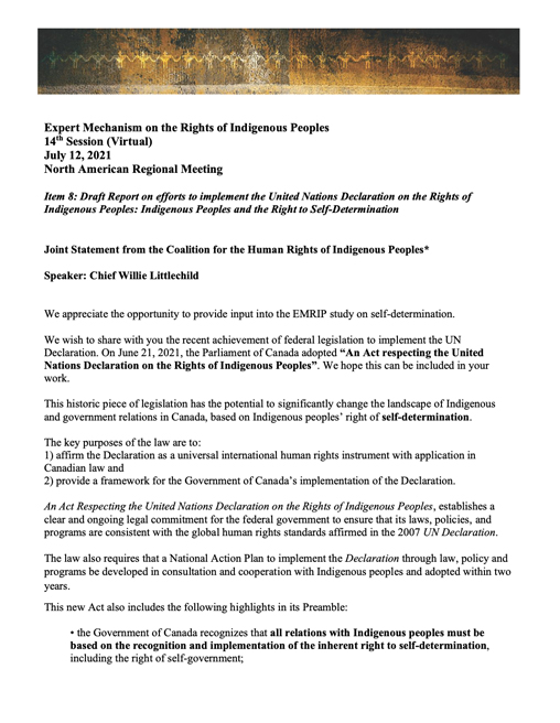 Joint statement on Canadas adoption of An Act Respecting the United Nations Declaration on the Rights of Indigenous Peoples EMRIP 2021