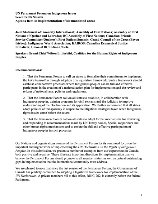 Joint statement with recommendations for implementation of the UN Declaration on the Rights of Indigenous People