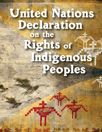 UN-Declaration-on-the-Rights-of-Indigenous-Peoples_v3