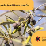 Jan 2025 CFSC statement on the Israel-Hamas ceasefire